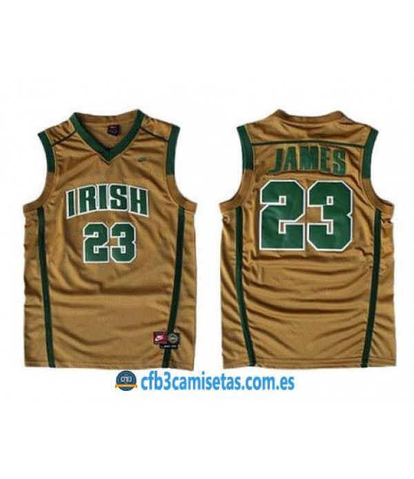 CFB3-Camisetas LeBron James St Vincent St Mary Irish Brown